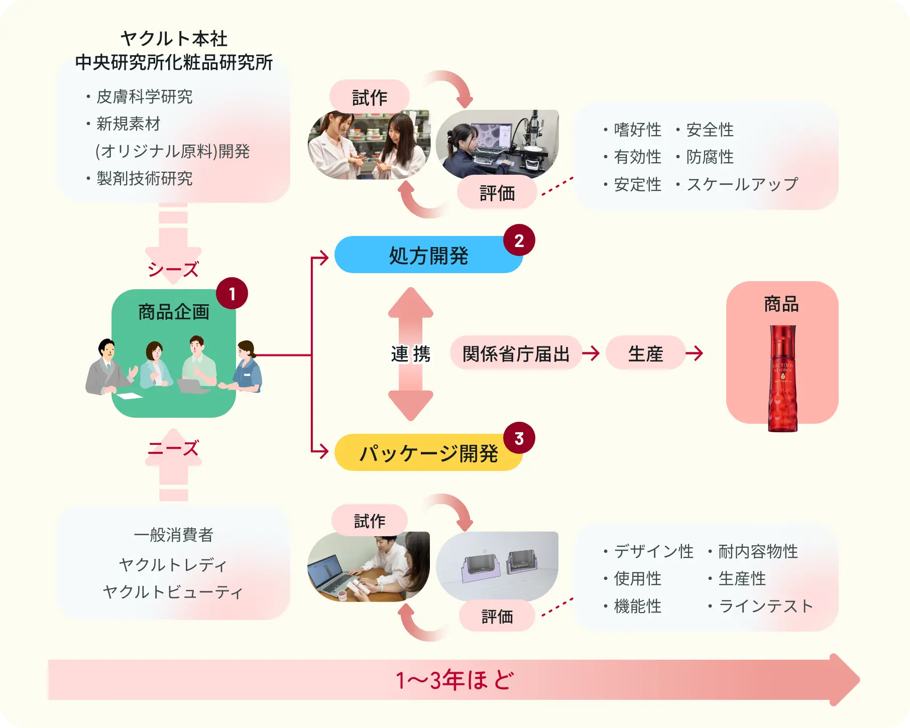 ヤクルトの化粧品がうまれるまでのイメージ